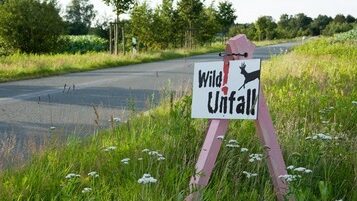 Schild mit der Aufschrift "Wildunfall" steht an der Seite einer Landstraße