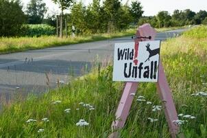 Schild mit der Aufschrift "Wildunfall" steht an der Seite einer Landstraße